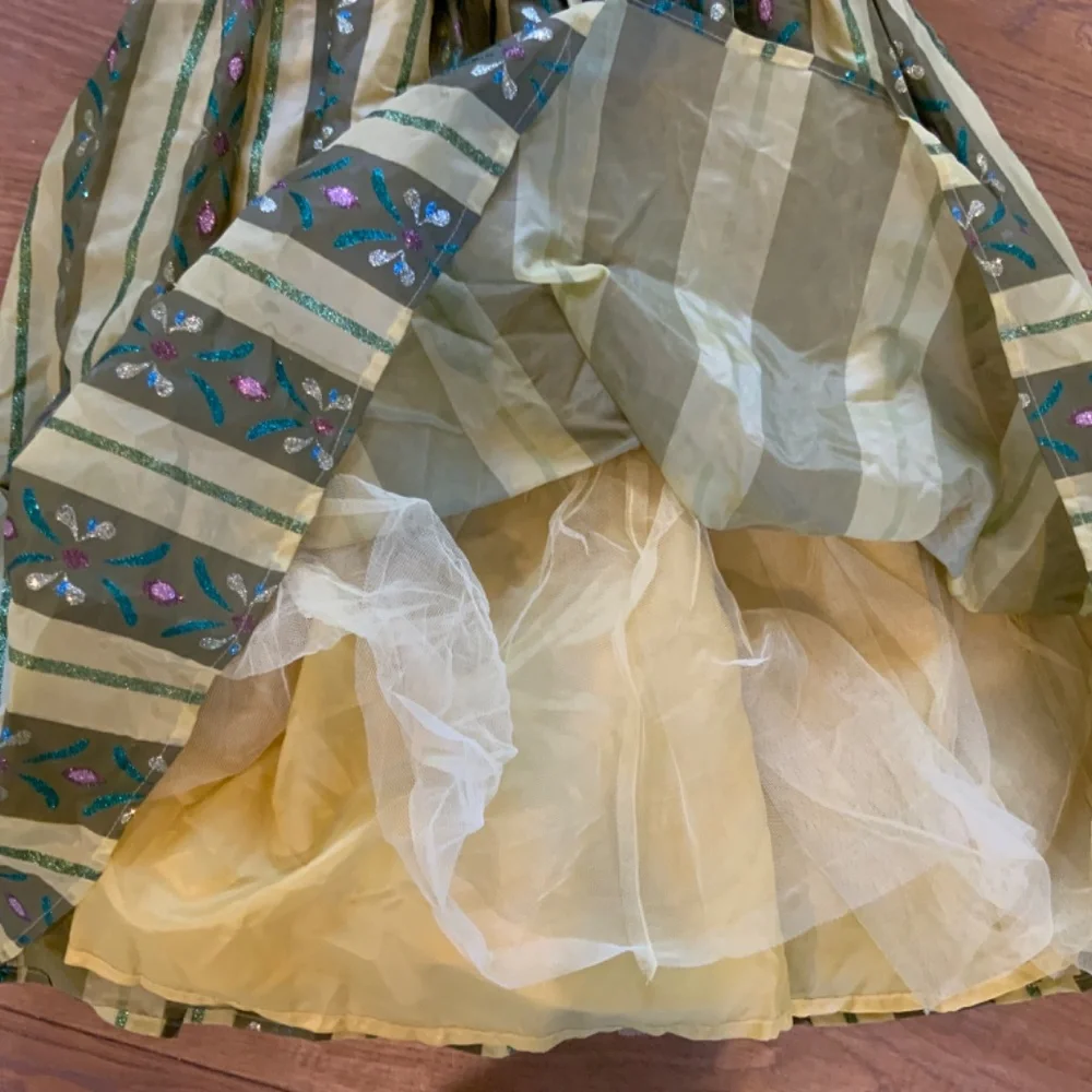 Anna Coronation Dress - Disney Parks Costume - Picture 6 of 6
